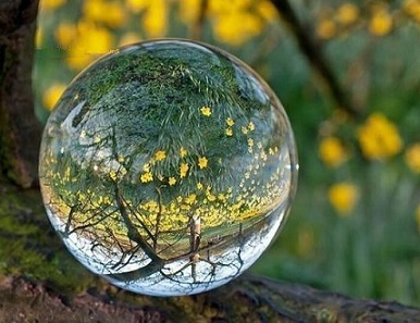 Bulle nature 1