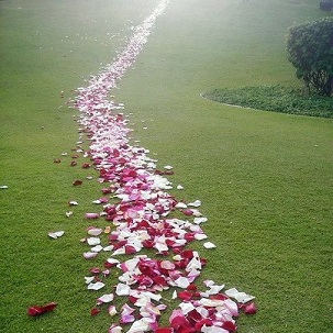 Chemin fleur
