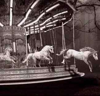 Chevaux de bois