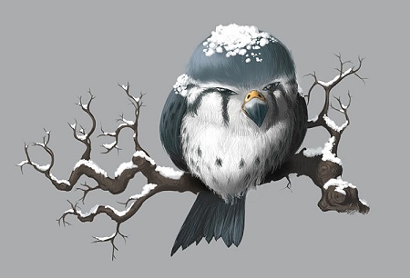 Drole oiseau