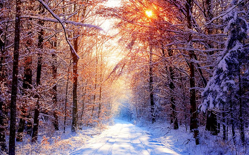 Hiver