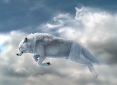 Louve nuage