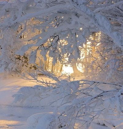 Neige