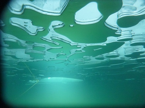 Sous la surface