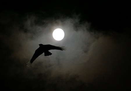 Vol de nuit